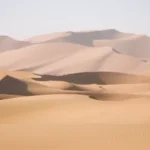 fdf